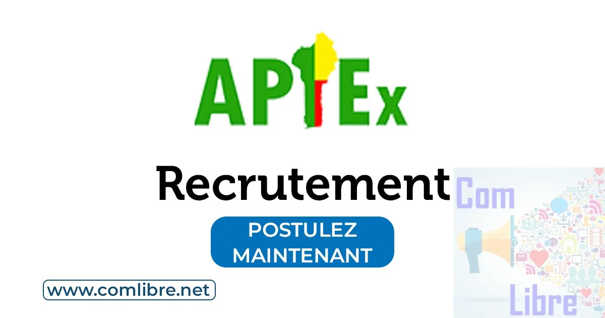 APIEx Recrutement : 𝗖𝗼𝗻𝗱𝘂𝗰𝘁𝗲𝘂𝗿 𝗱𝗲 𝗩é𝗵𝗶𝗰𝘂𝗹𝗲 𝗔𝗱𝗺𝗶𝗻𝗶𝘀𝘁𝗿𝗮𝘁𝗶𝗳 