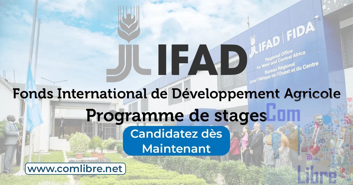 Programme de stages du FIDA : allocation, logement et voyage pris en charge