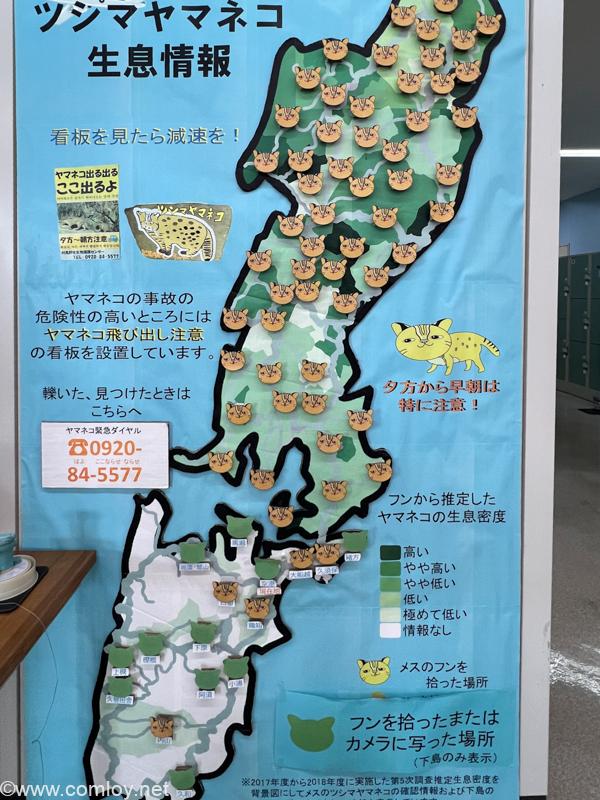 ツシマヤマネコ生息情報