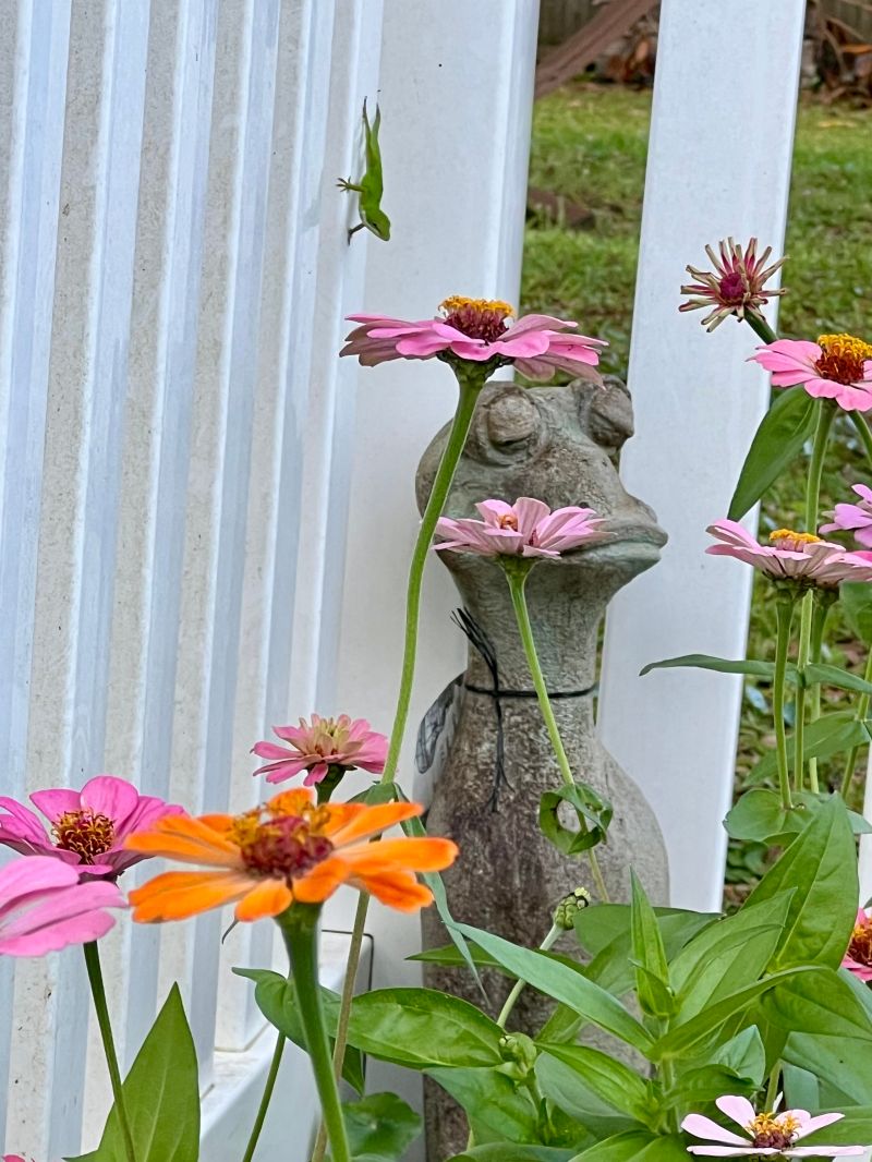 Spring Release 2024 Commandpattern Org - Best Space Wallpapers in Mobile