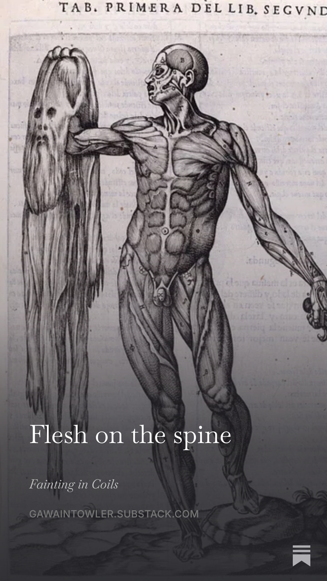 Flesh on the Spine