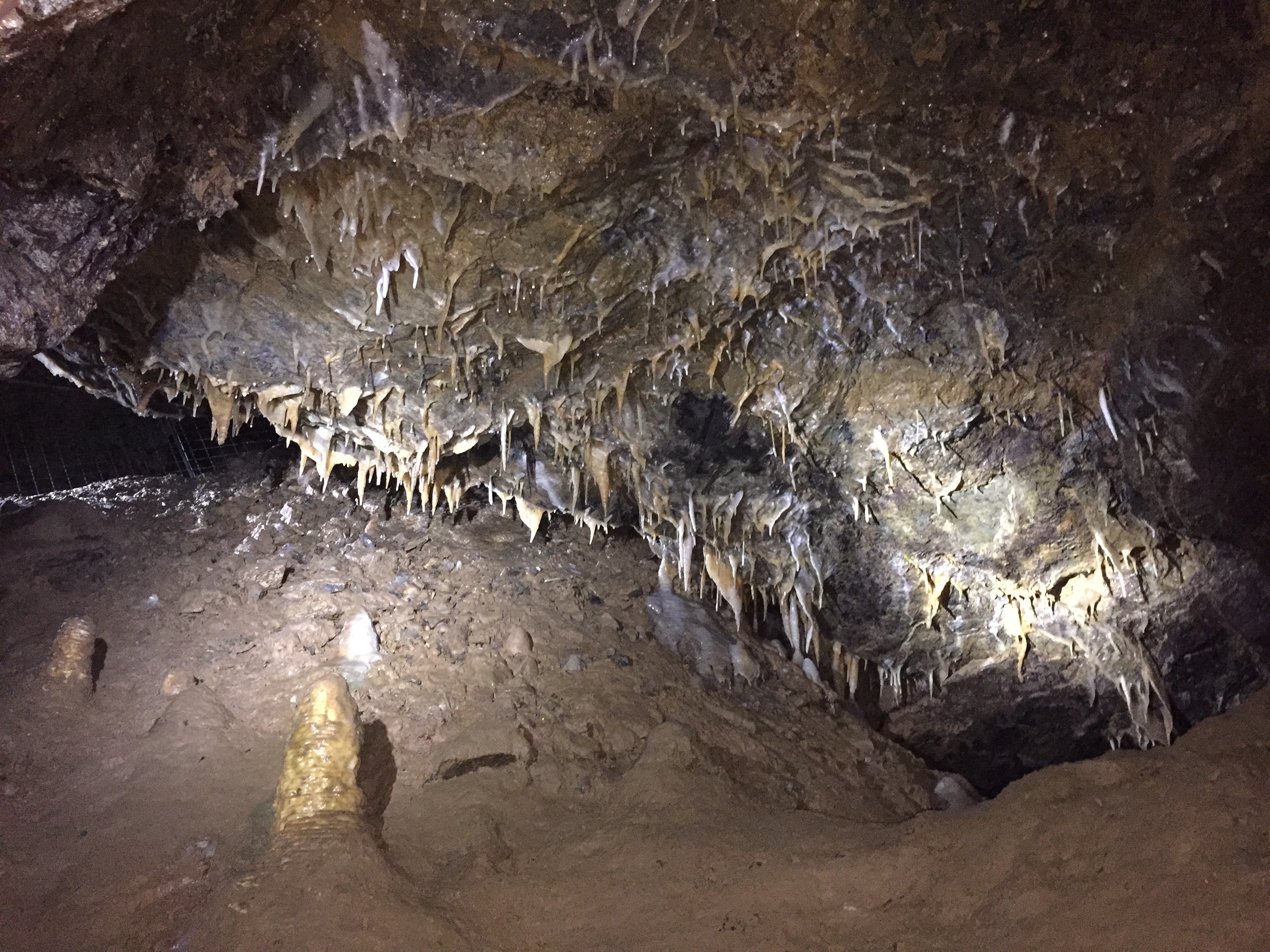 In der Drachenhöhle Syrau