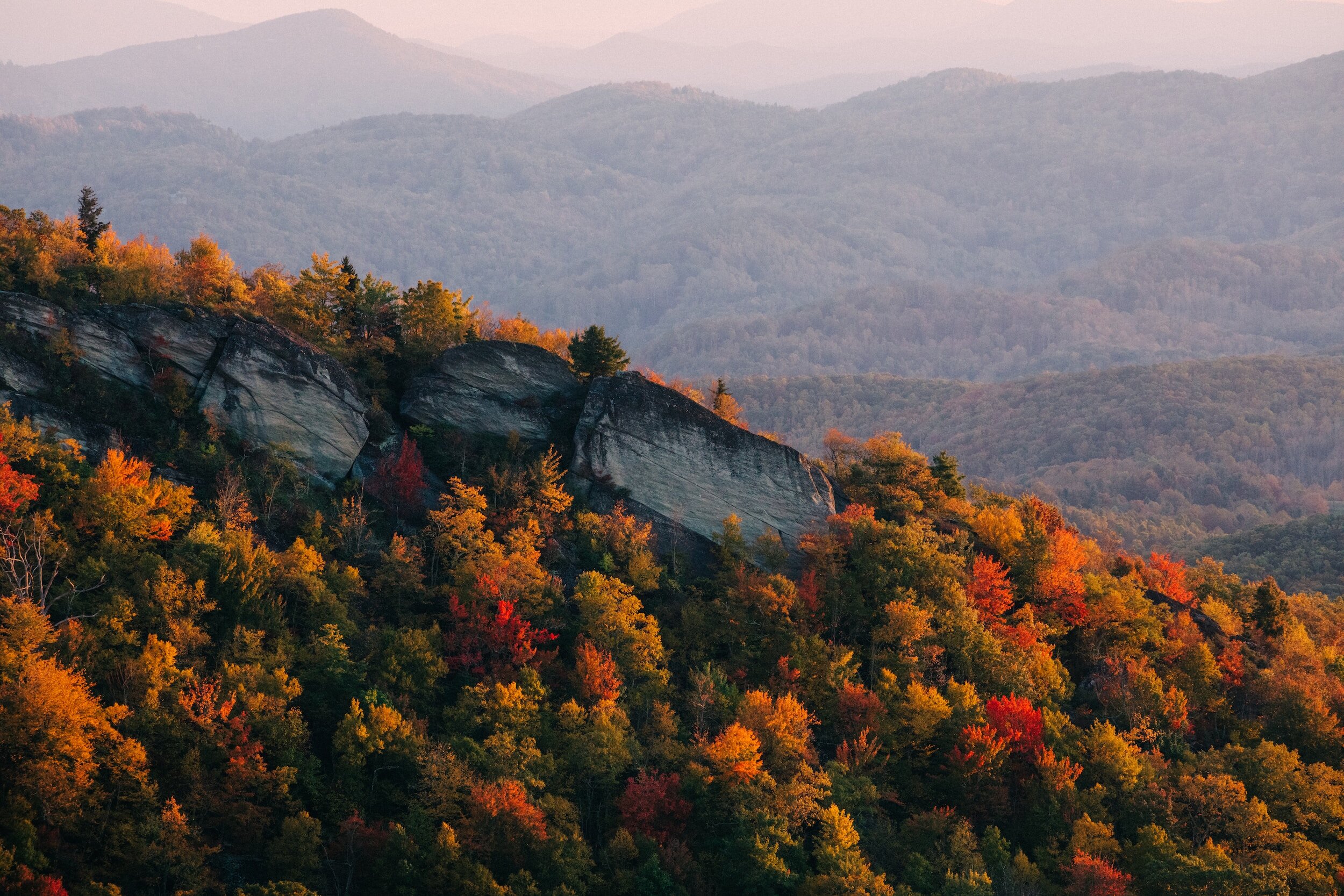 Fighting to grow grapes a better way — North Carolina style