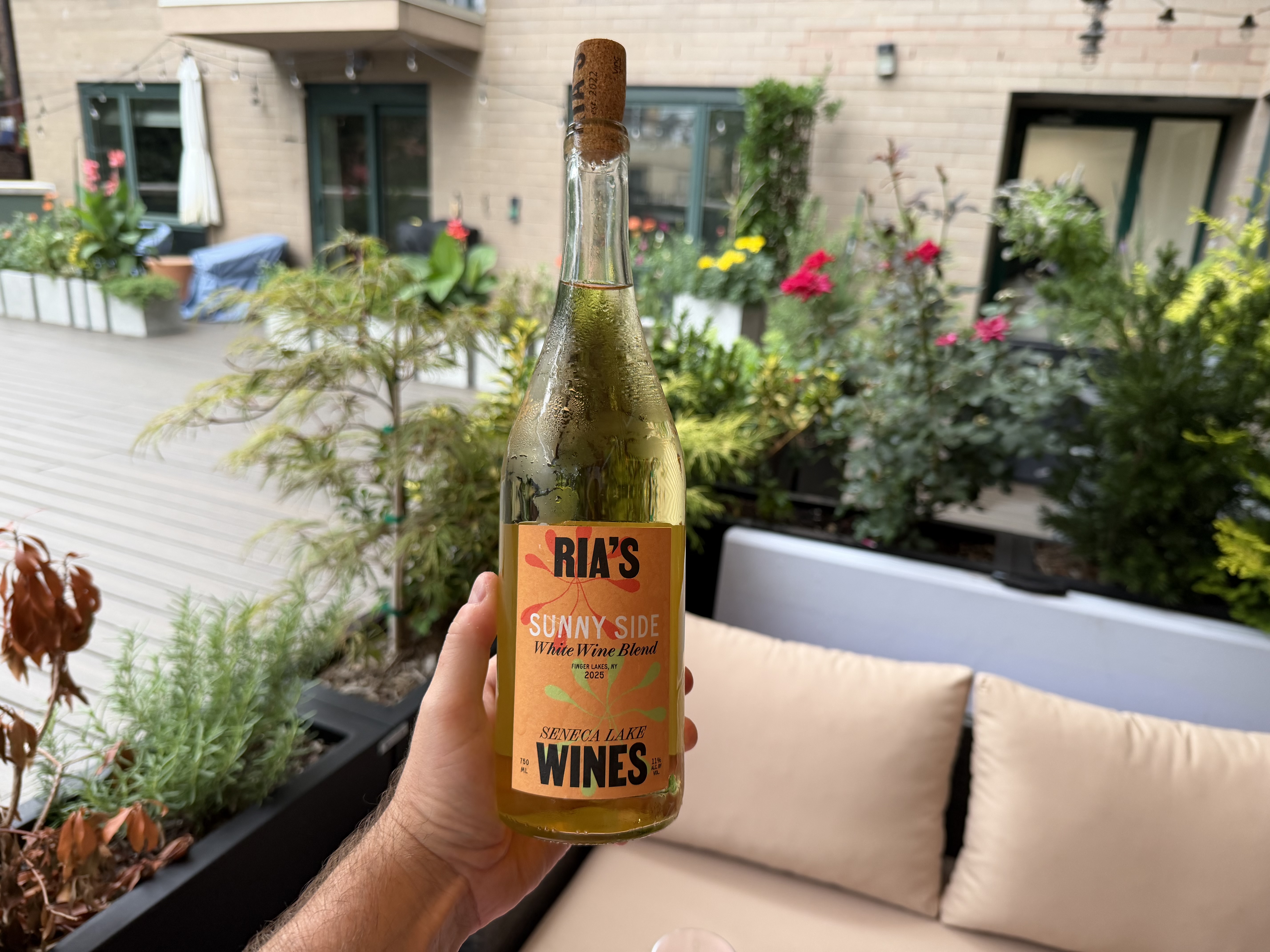 What the Finger Lakes taught a California winemaker