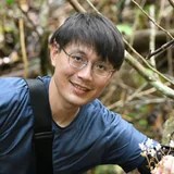 林哲緯