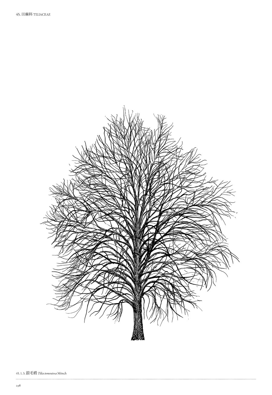 樹木細緻插畫書頁 9