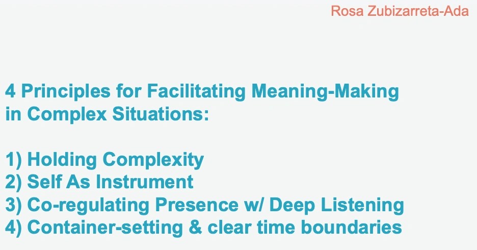 Slide with text. Title reads ;4 principles for facilitating meaning making in complex situations'.