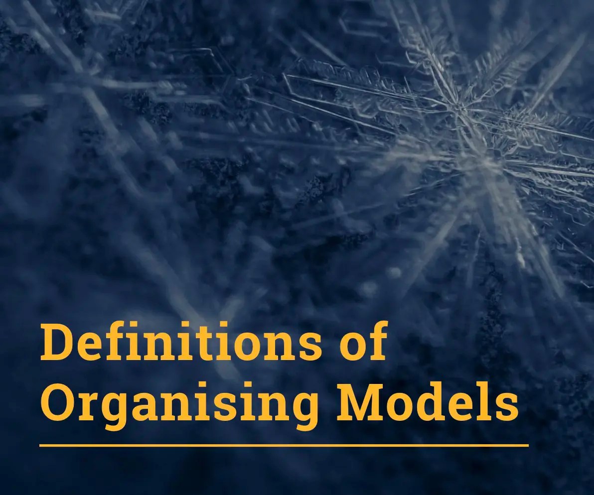 Title reads 'Definitions of Organising Models'. In the background is a close up of three snowflakes.