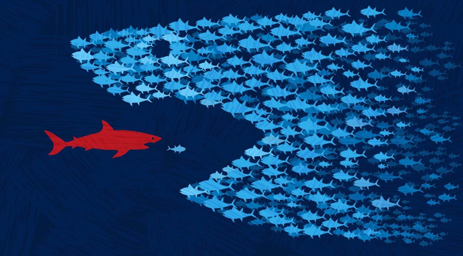 School of little blue fishes come together and join forces to overpower red shark.