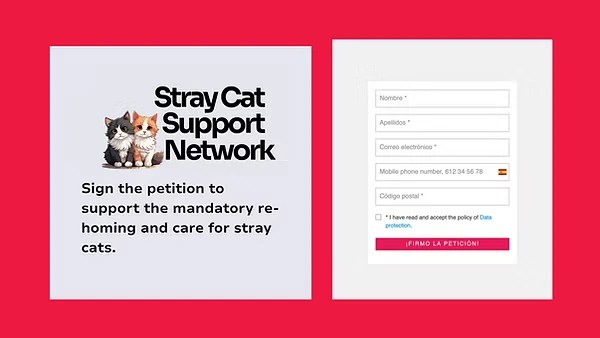 Form with title 'Stray cat support network'. Illustration of two little cats. Text reads 'Sign the petition to support the mandatory rehoming and care for stray cats.' On the right is a form with 5 fields to fill in with a button.