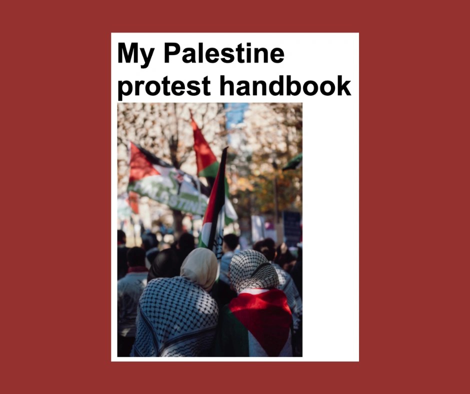 Text - "My Palestine protest handbook". Protestors in crowd