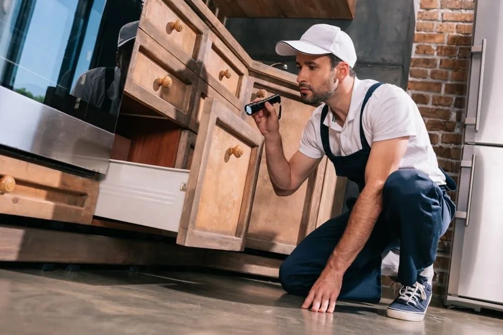 Pest Inspection Inspection