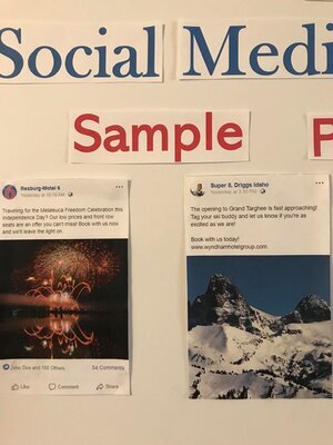 Sample+Posts+1.jpg