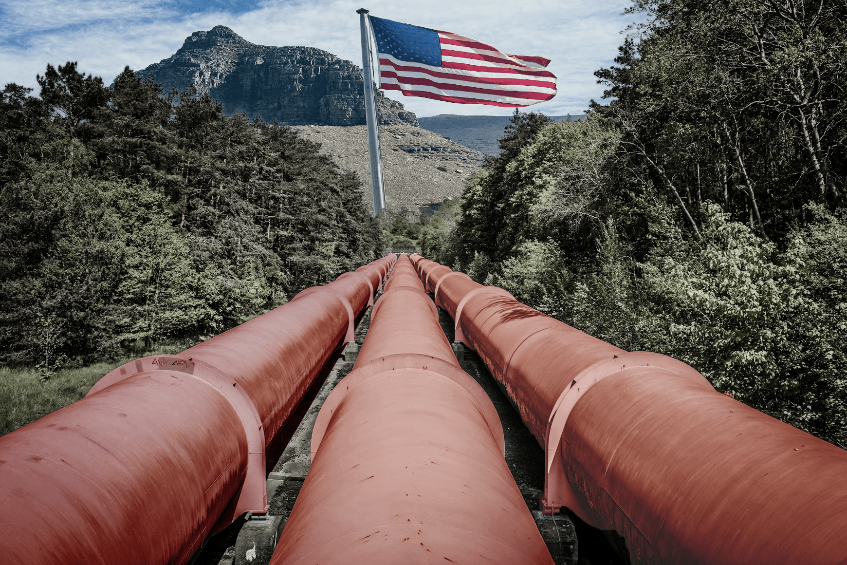 Three oil pipelines flowing through the forest towards the United States border.