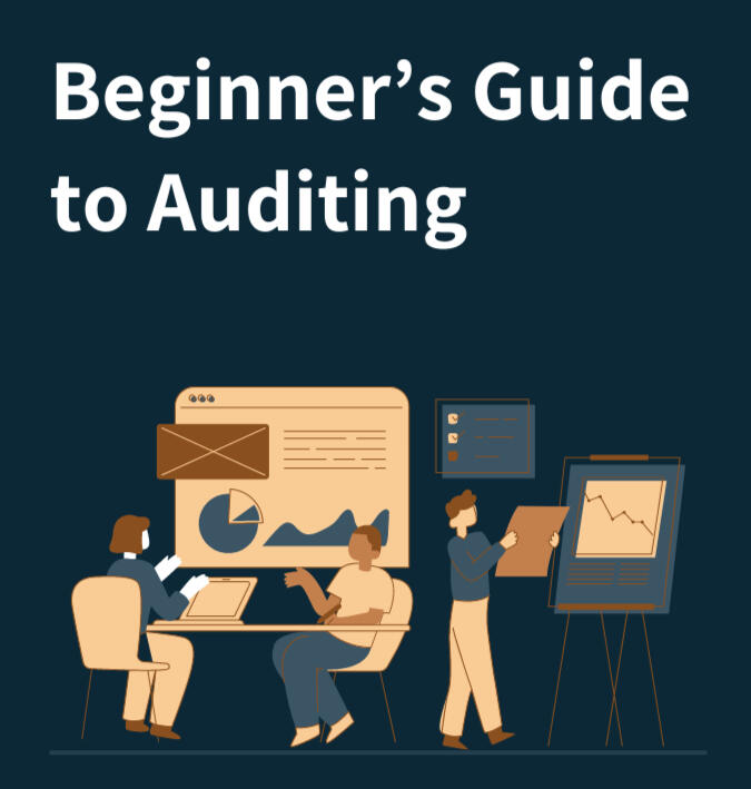 Beginner S Guide To Auditing