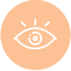 supervision-icon supervision icon