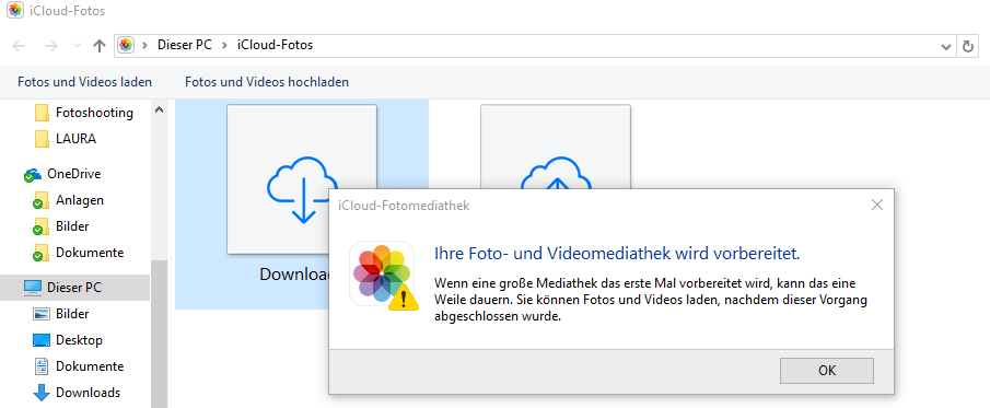 Laufigkeit Beim Hund Anzeichen Verlauf Zyklusphasen