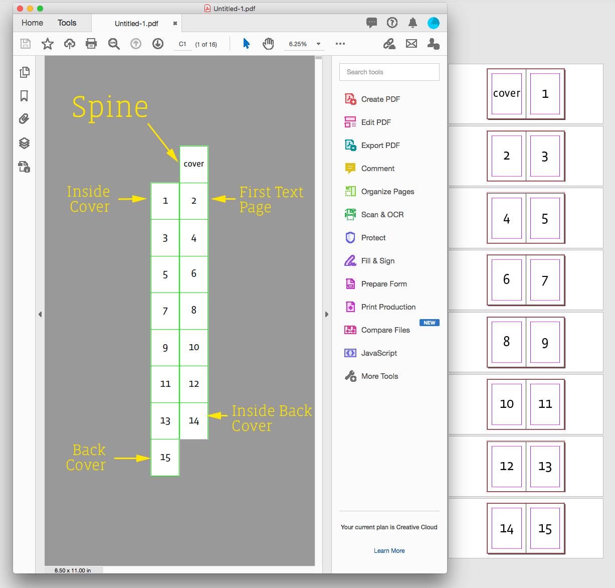 Solved: Setting Up Page Numbers Warning Message - Adobe Support Community - 11200477