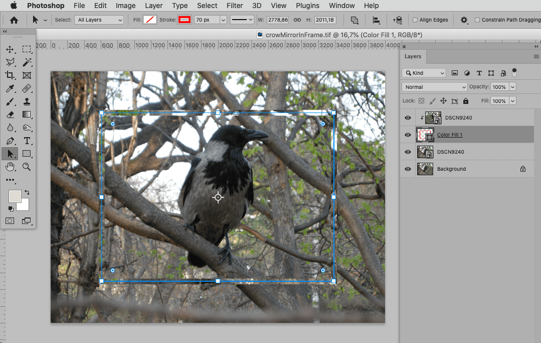 How To Create This Effect? - Adobe Community - 12017354