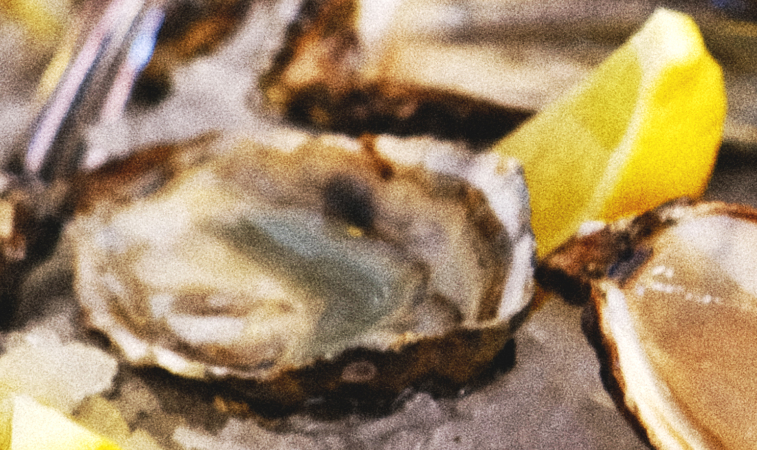 Rejected Photos - Adobe Product Community - 12915592