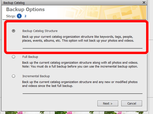 Uninstall 2021 Version - Adobe Community - 13198562