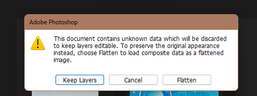 Cannot Open Photoshop 2022 PSD File On Photoshop 2... - Adobe Community - 13360613