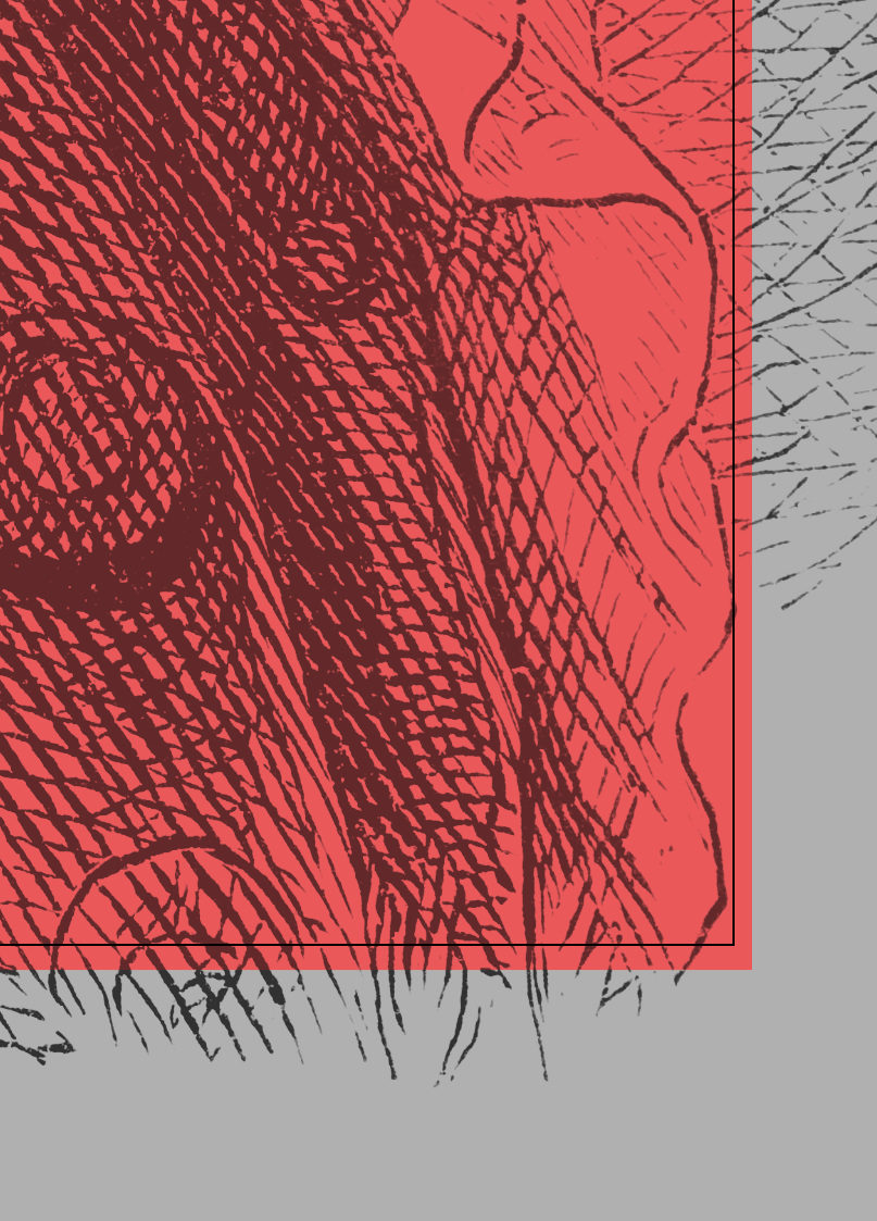 Solved: White Lines Exporting - Adobe Product Community - 13496713