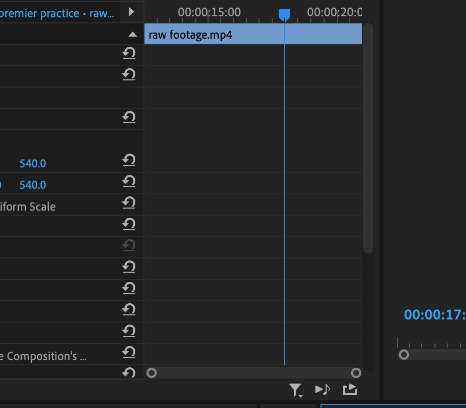 Solved: Workspace Preferences - Adobe Community - 13552081