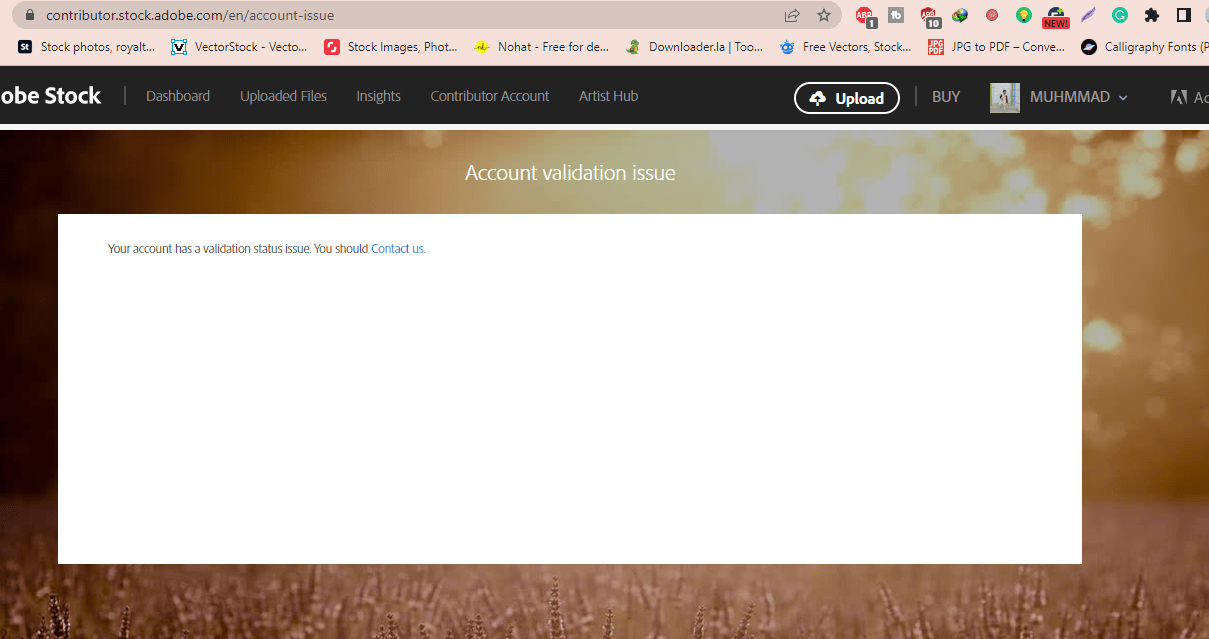 Account Validation Issue - Adobe Community - 13742741