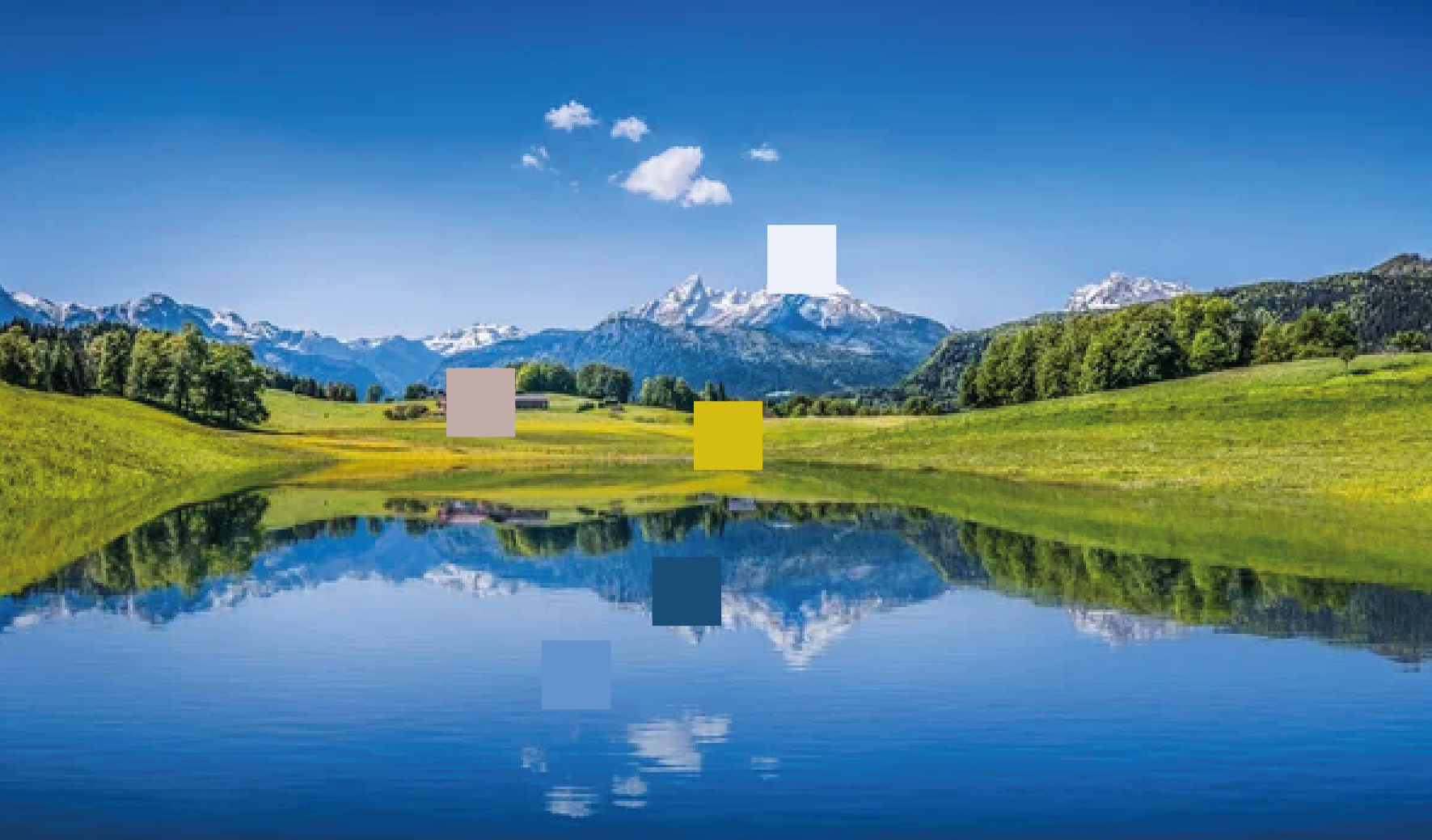 Need Help With An Adobe Illustrator Script - Adobe Product Community ...