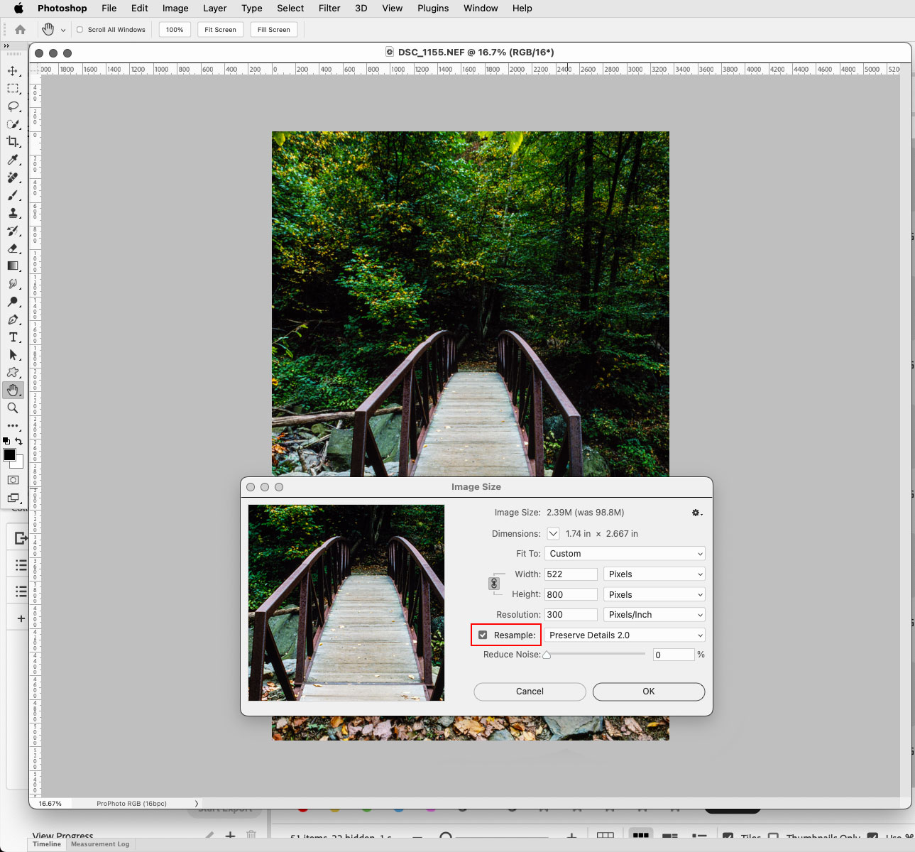 Solved: Image Resize Not Working - Adobe Community - 13929940