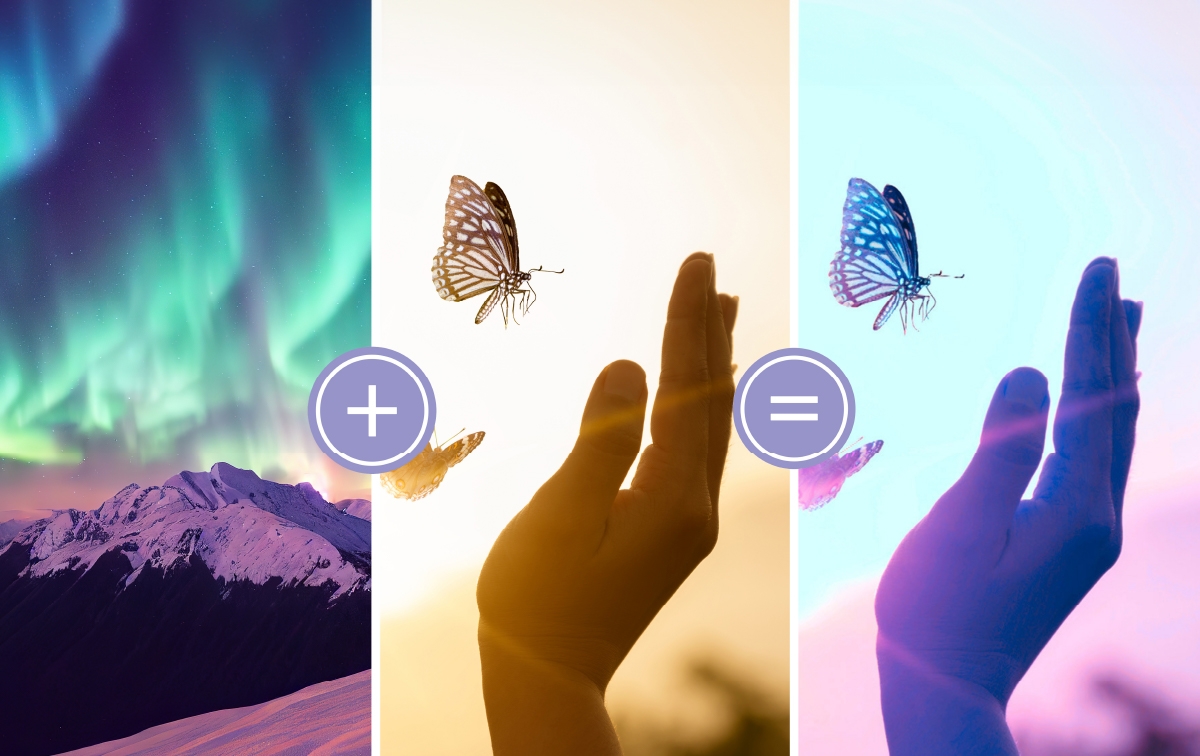 Adobe Premiere Elements 2024 Is Now Available - Adobe Product Community ...