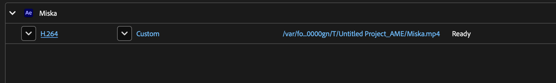 Solved: AE Video Rendering As Audio Only? - Adobe Product Community - 8816247