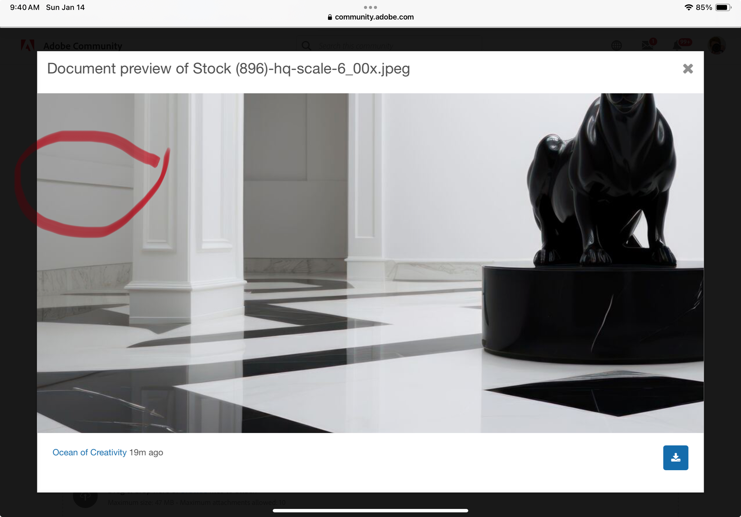 Solved: Rejected Images - Adobe Community - 14355140