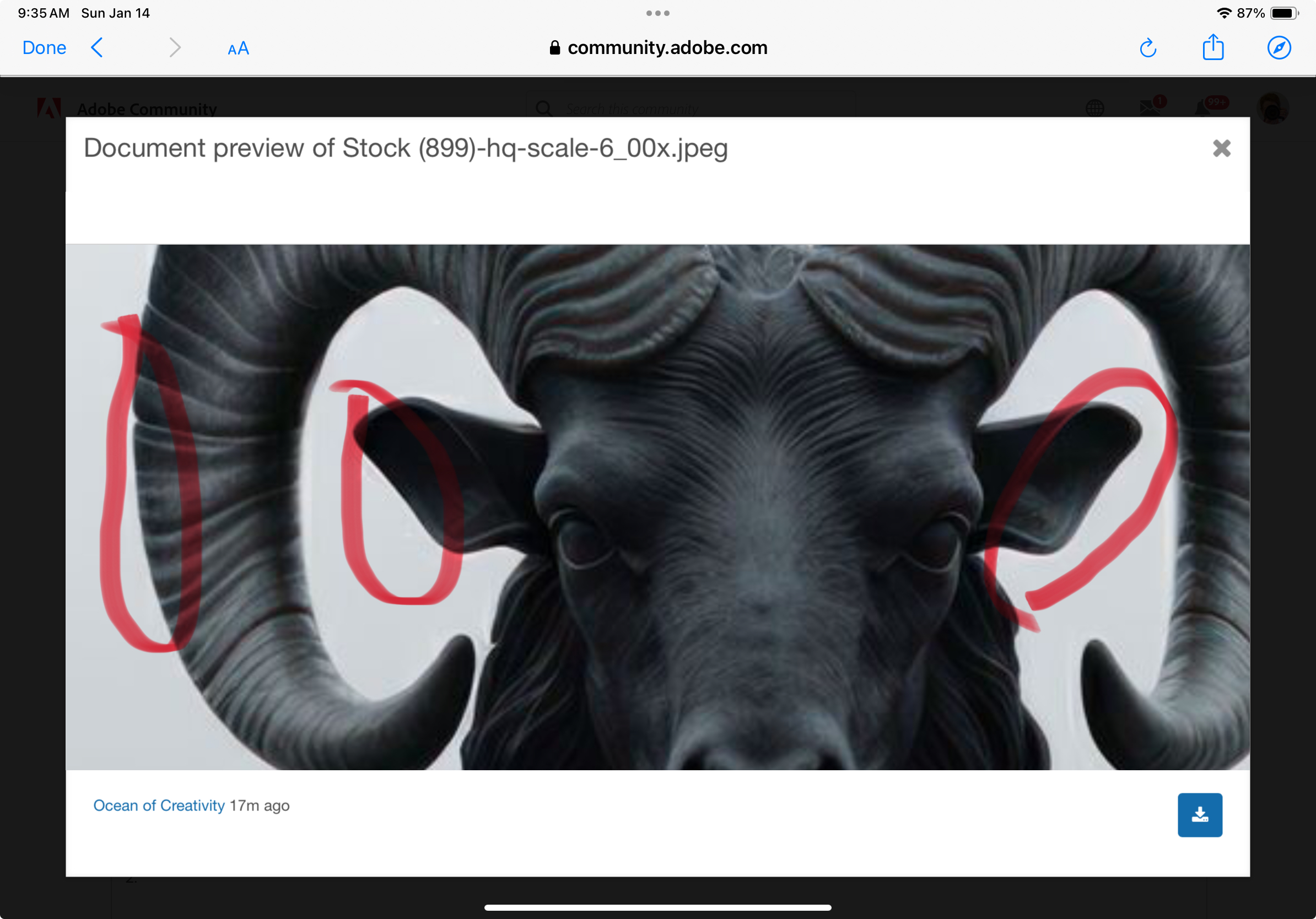 Solved: Rejected Images - Adobe Community - 14355140