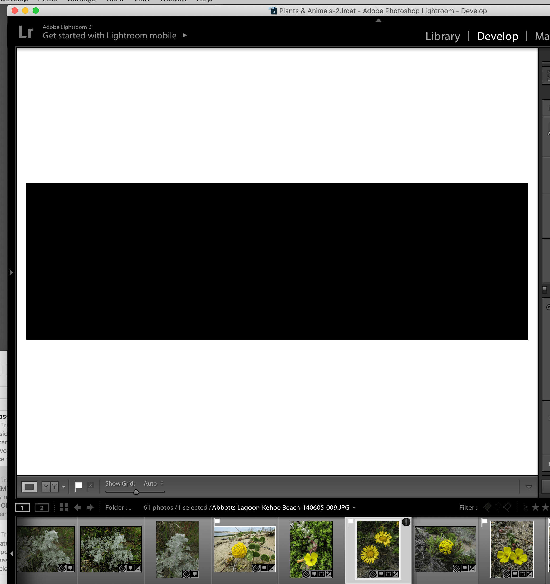 Develop Module Problems - Adobe Community - 10970867