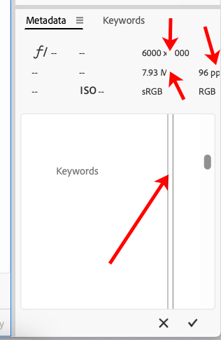 Metadata Panel Not Displaying Correctly - Adobe Community - 14867643