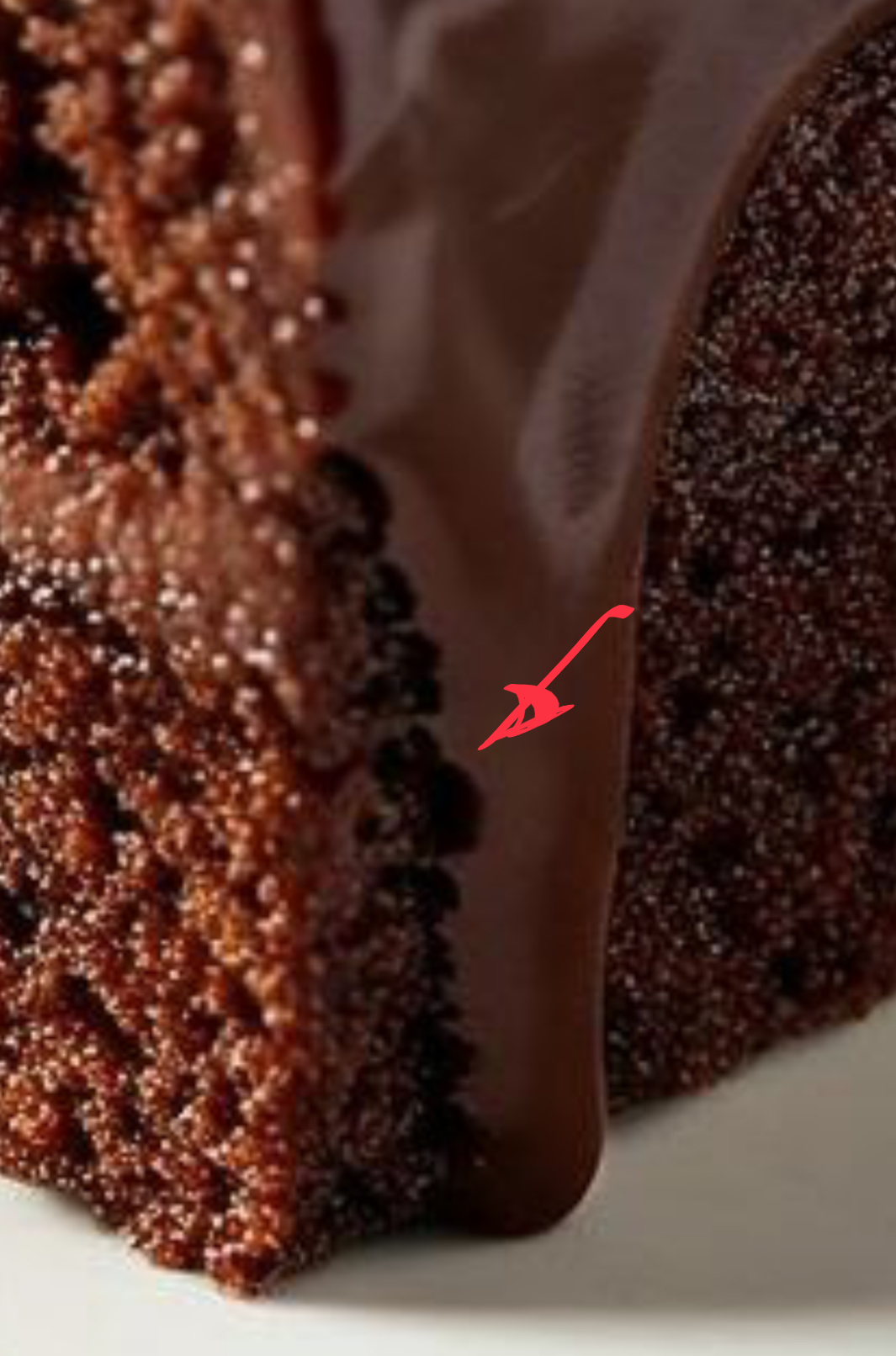 Solved: Reasons For The Rejection - Adobe Community - 15143441