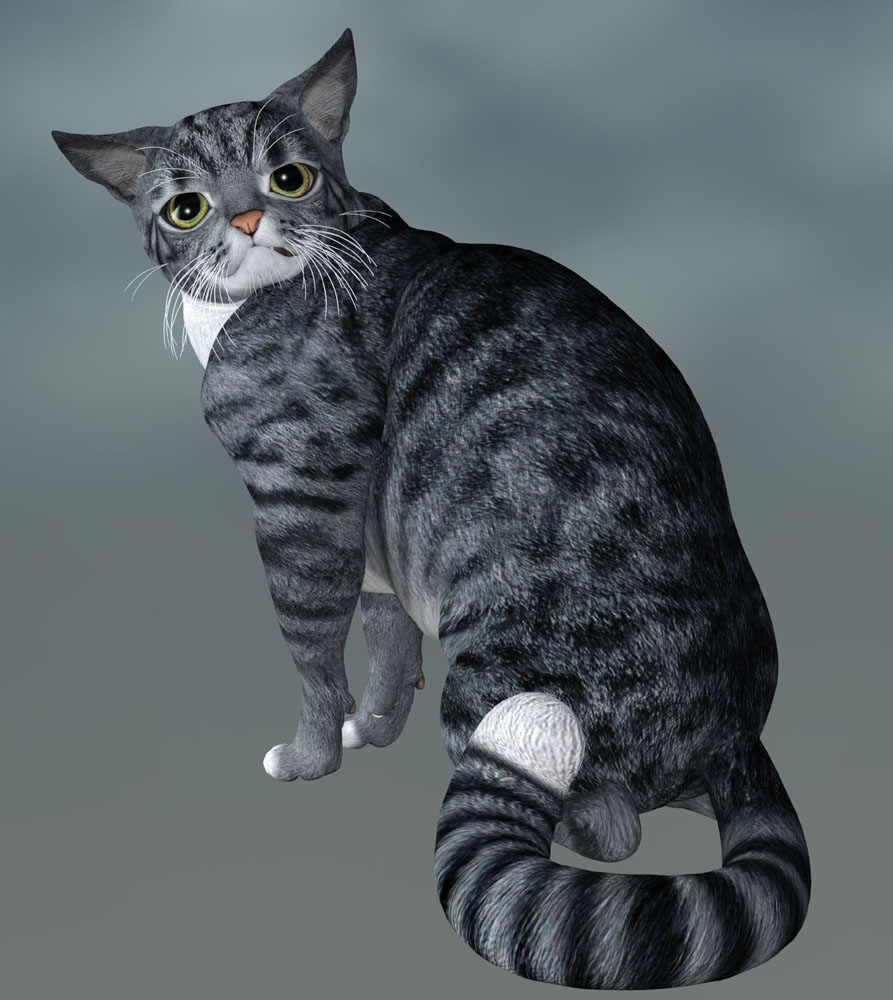 Google 3d Animals View Not Working Here S List Of Smartphones That Will Show Panda Tiger Lion Shark Penguin In Your Space Latestly