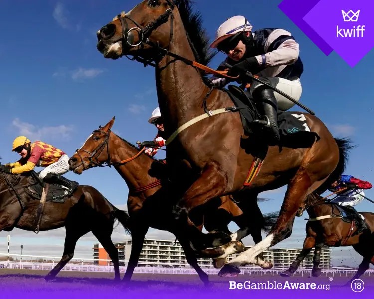 Newbury Race Tips