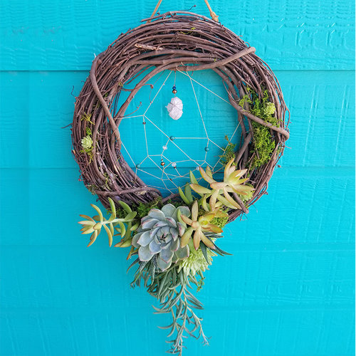 Dreams are not fully understood, but there are some interesting facts that researchers have discovered. Make A Succulent Dream Catcher Community Impact