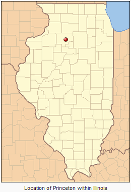Community Built Network Saves Local Jobs In Princeton Illinois Princeton IL Map.PNG