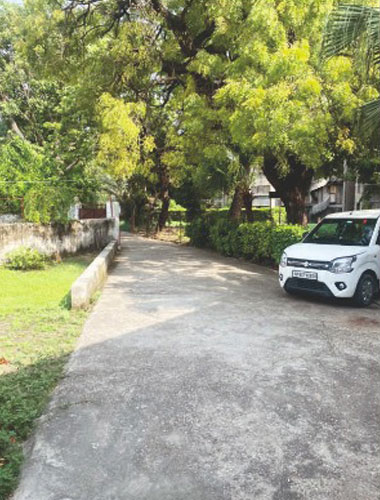 CSS Entrance