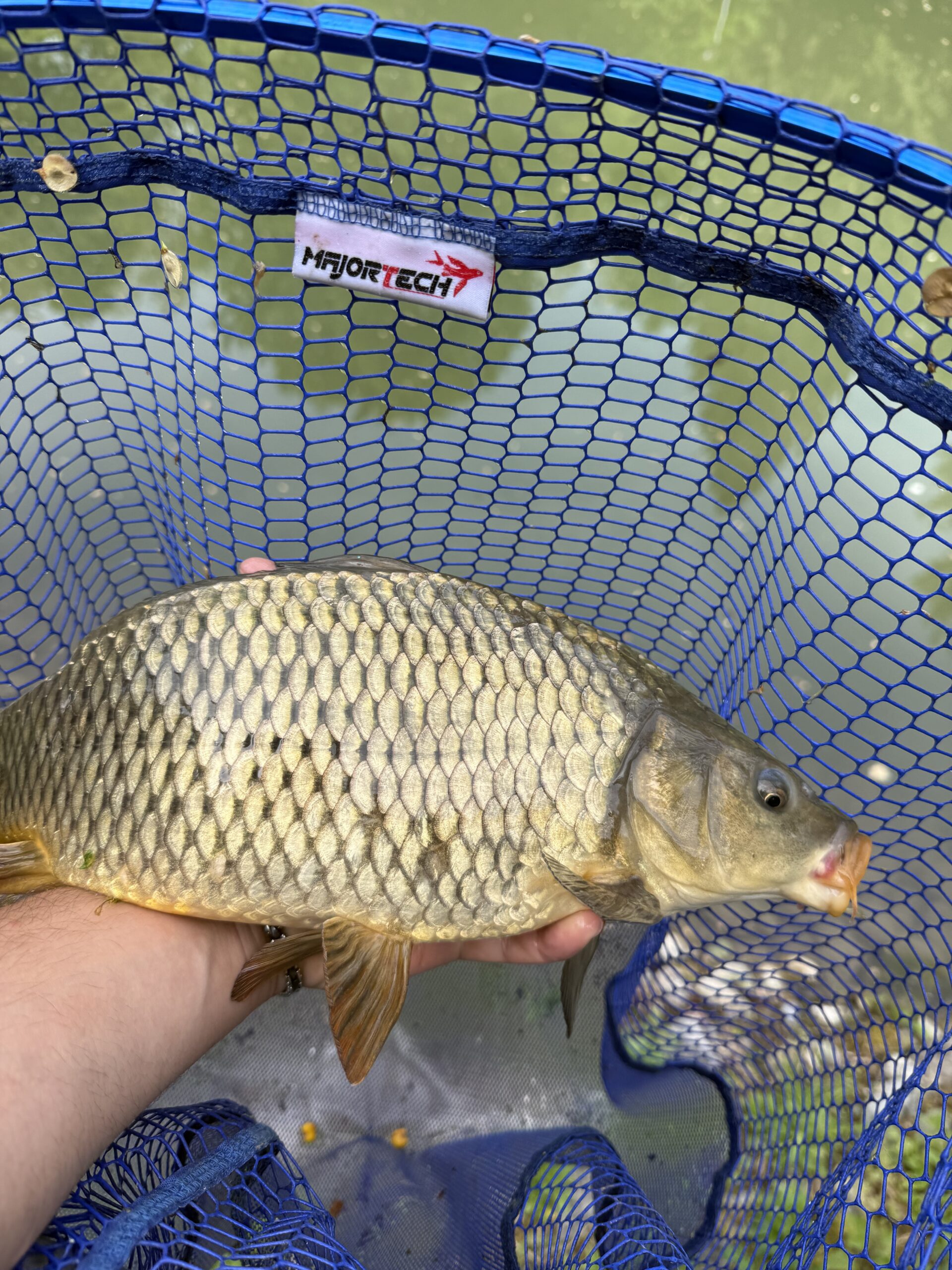 Carp fishing on Lake Como
