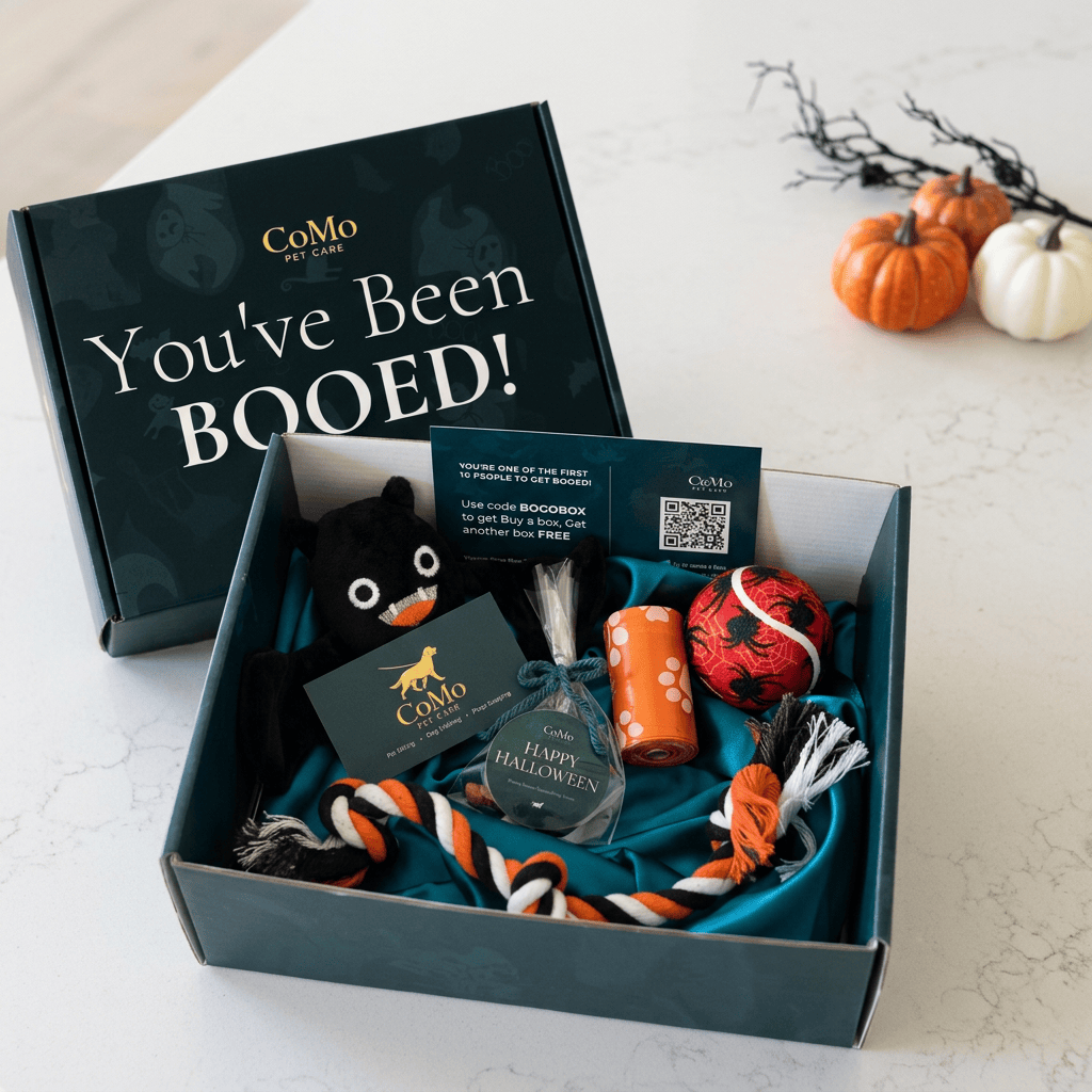 CoMo Pet Care Boo Box Halloween dog gift box