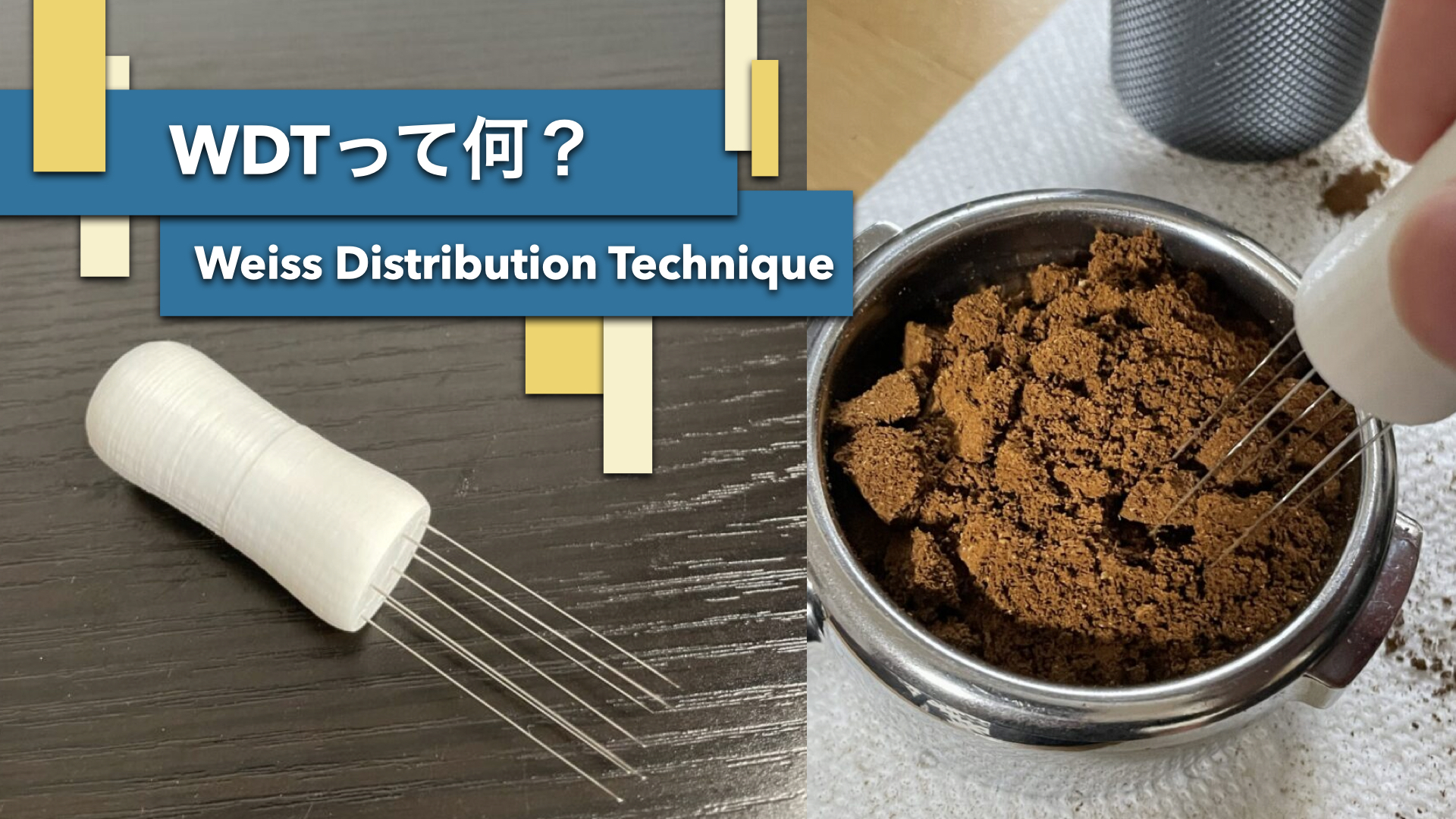 WDTって何？　Weiss Distribution Techniqueツール作ってみた！