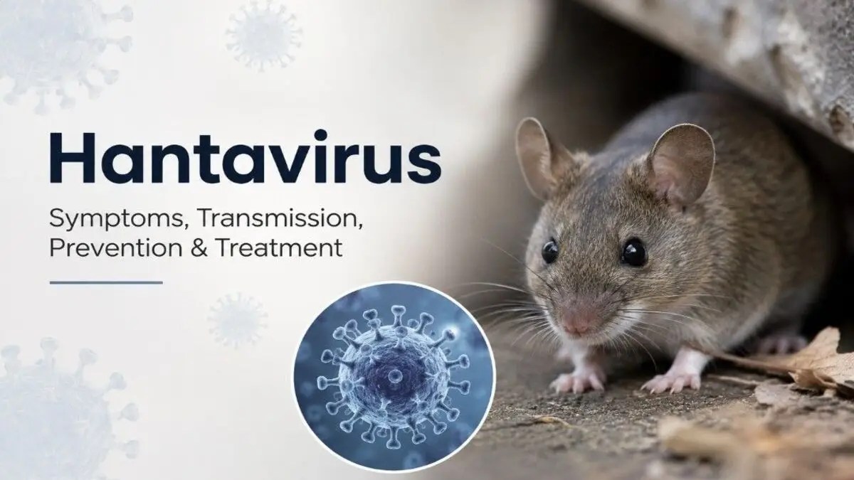 Hantavirus