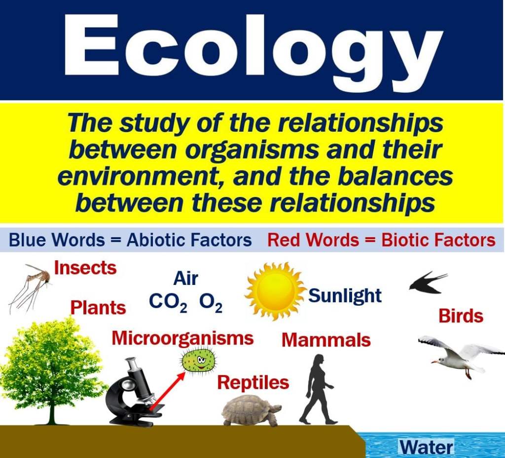 ECOLOGY