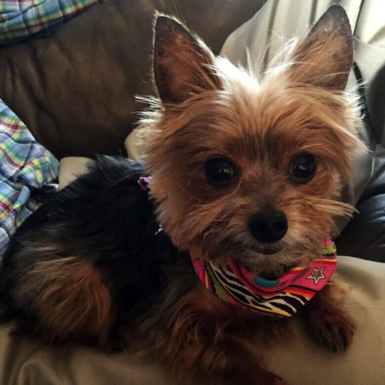 Our beloved patients