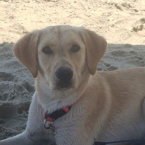 Our beloved patients